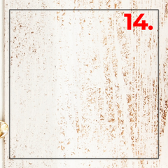 day 14
