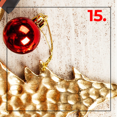 day 15