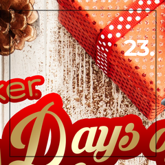 Day 23